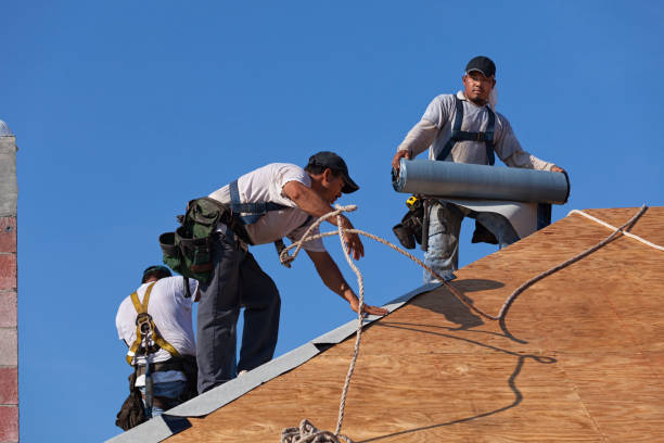 Best Roof Waterproofing Services  in Mccrory, AR