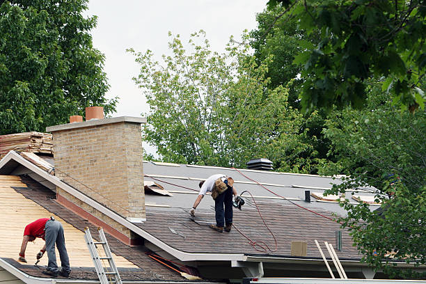 Best Gutter Installation and Roofing  in Mccrory, AR