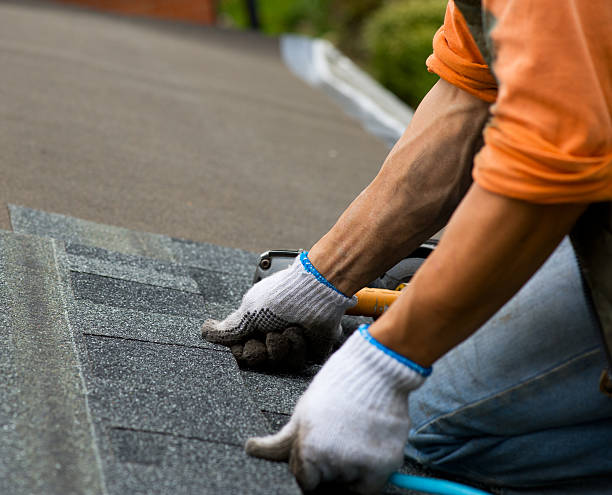 Best Roof Maintenance Services  in Mccrory, AR